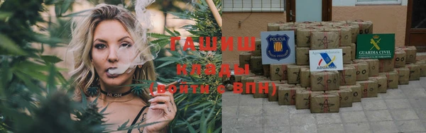 бошки Ельня