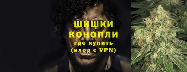 прущие крисы Елабуга