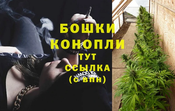 прущие крисы Елабуга