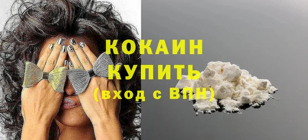 бошки Ельня