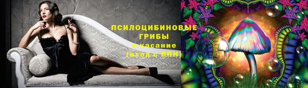бошки Ельня